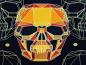 Mobile Preview: French Terry Graphic Skulls in Nachtblau / Orange